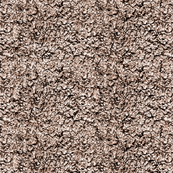 Brown Bark