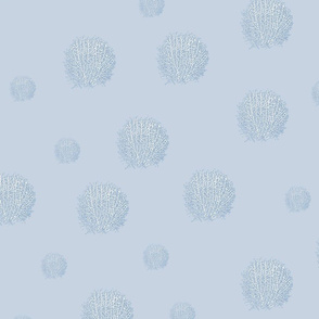Sea Fan 4 