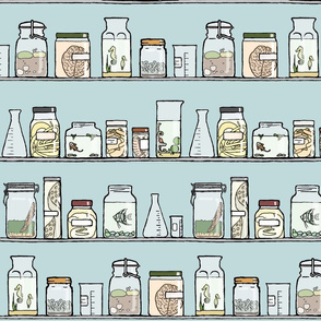 my collection