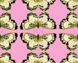 Rbutterfly_tile_pink_green_thumb