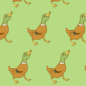 marchingducks
