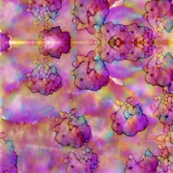 Pink and Purple Explosion