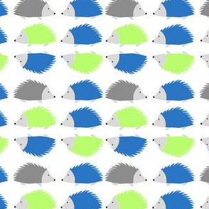 Color Splash Hedgehogs