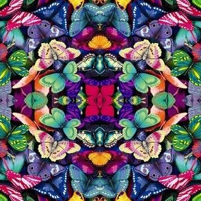 _origin_Animal-Wallpapers-1