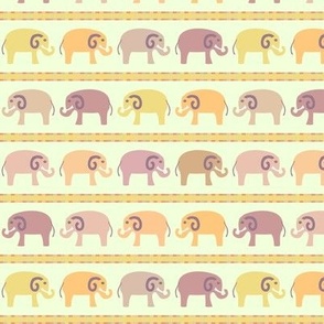 Baby Elephants