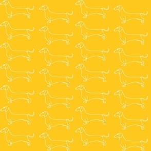 dachshound parade