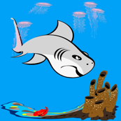 SharkQB