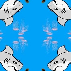 SharkQB