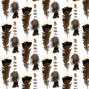 feathers