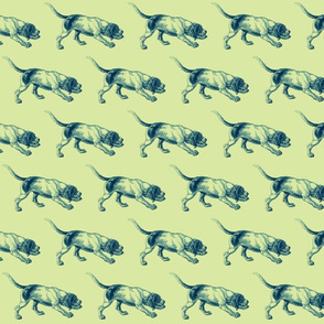 blue dog
