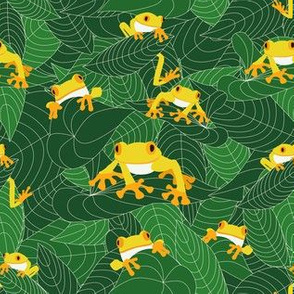 the-jungle-of-the-frogs