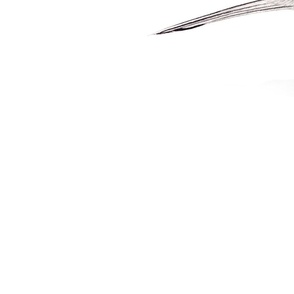 Chickadee...
