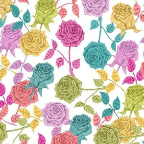 ROSES (white)