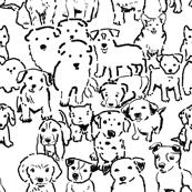 Puppies Black and White