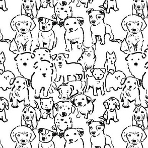Puppies Black and White