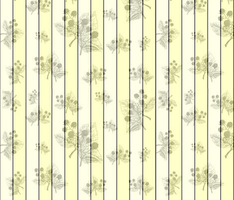 Blackberry Yellow