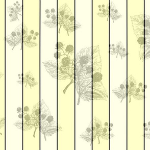 Blackberry Yellow