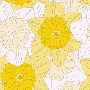 Daffodil ...