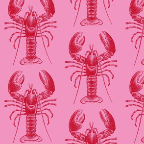 pink lobster-ch