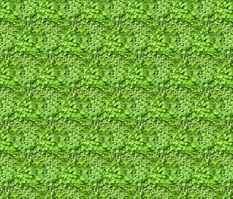 springtime sprouts