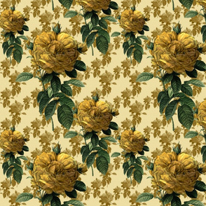 Redoute' Roses ~ Yellow on Cream