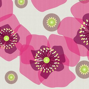 Pink poppies