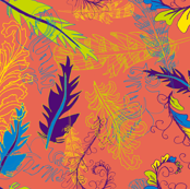 Amber's feathers