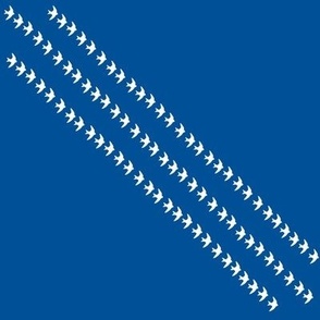 House martins