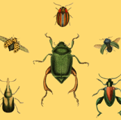 BeetleMania