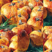 Pumpkins