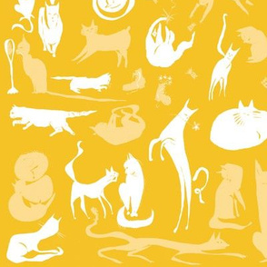 Cats! Cats! Cats!