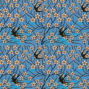 Almond Blossom 