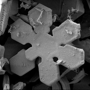 SEM snowflake 