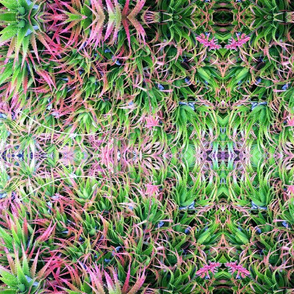 Rrimage_shop_thumb