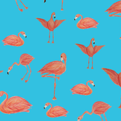 Flamingos...