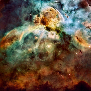 Galactic Flowers