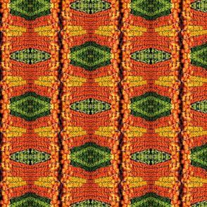 Veggie Blanket