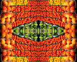 Veggie Blanket