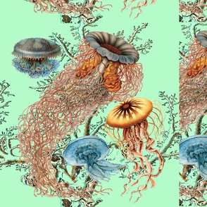 justjellies