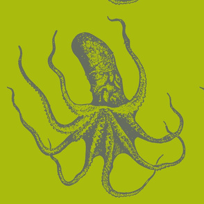 octo383