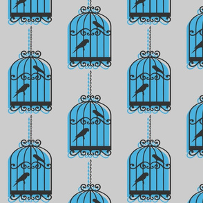 birdcage-singular-ed