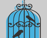 birdcage-singular-ed