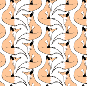 Pastel Fox Stripe