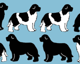 Newf_silhouettes_on_blue_thumb