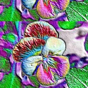 Pansy foil