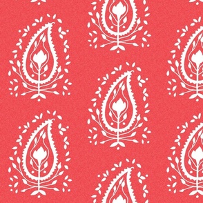 Red for India