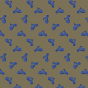 blue_scoo...