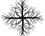 Rrrtree_thumb