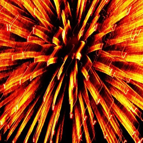 Fireworks Gold 2011  1010356