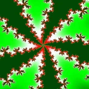 Holly